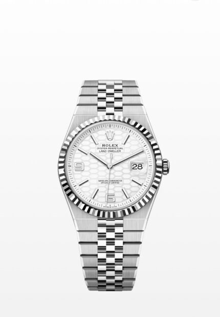 Land-Dweller 40 | Oystersteel & White Gold